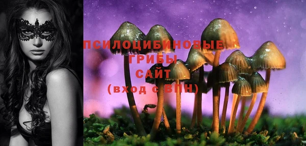 МДМА Михайловка